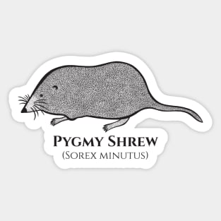 Pygmy Shrew with Common and Latin Names - cute animal design Sticker